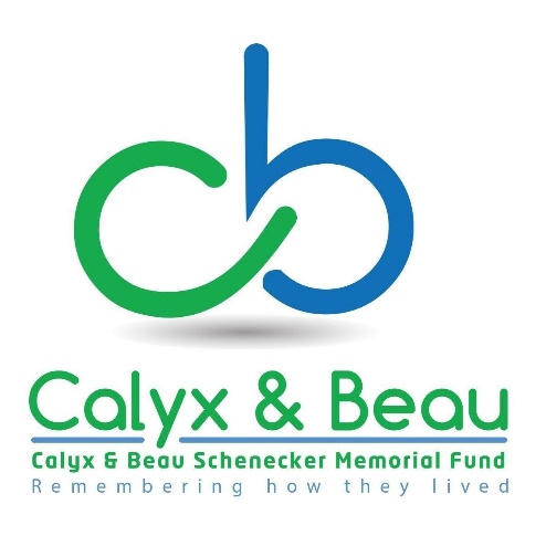 Calyx & Beau logo